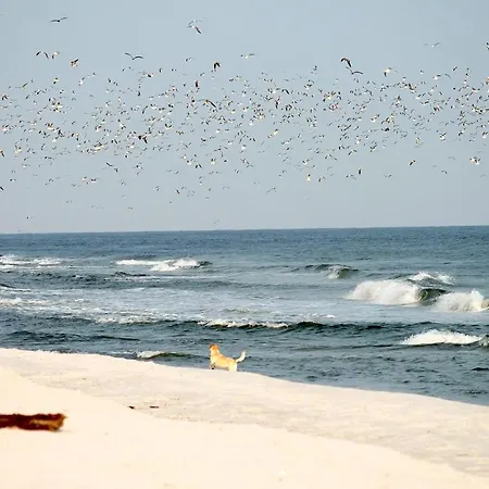 Lejlighed White Pearl 1.13